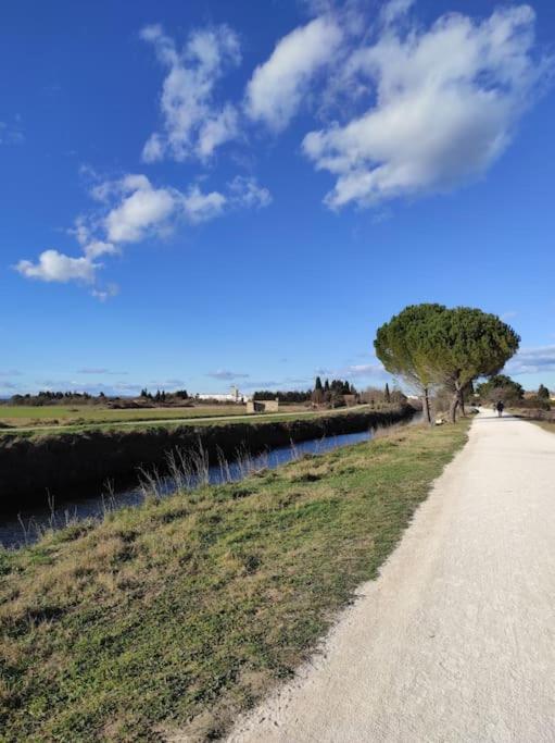 Mobil-Home Dans Un Beau Cadre A 15 Km Des Plages. Lunel  Exterior photo